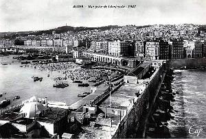 Alger - Vue prise de l'Amiraute - 1947